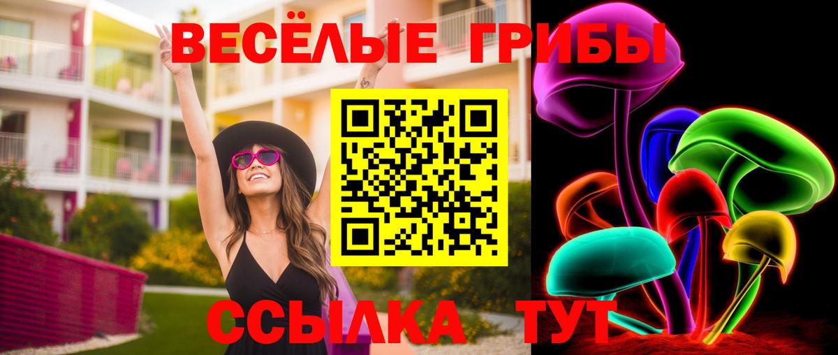 Кушва  сколько стоит  Вход с VPN  Галлюциногенные грибы GOLDEN TEACHER 